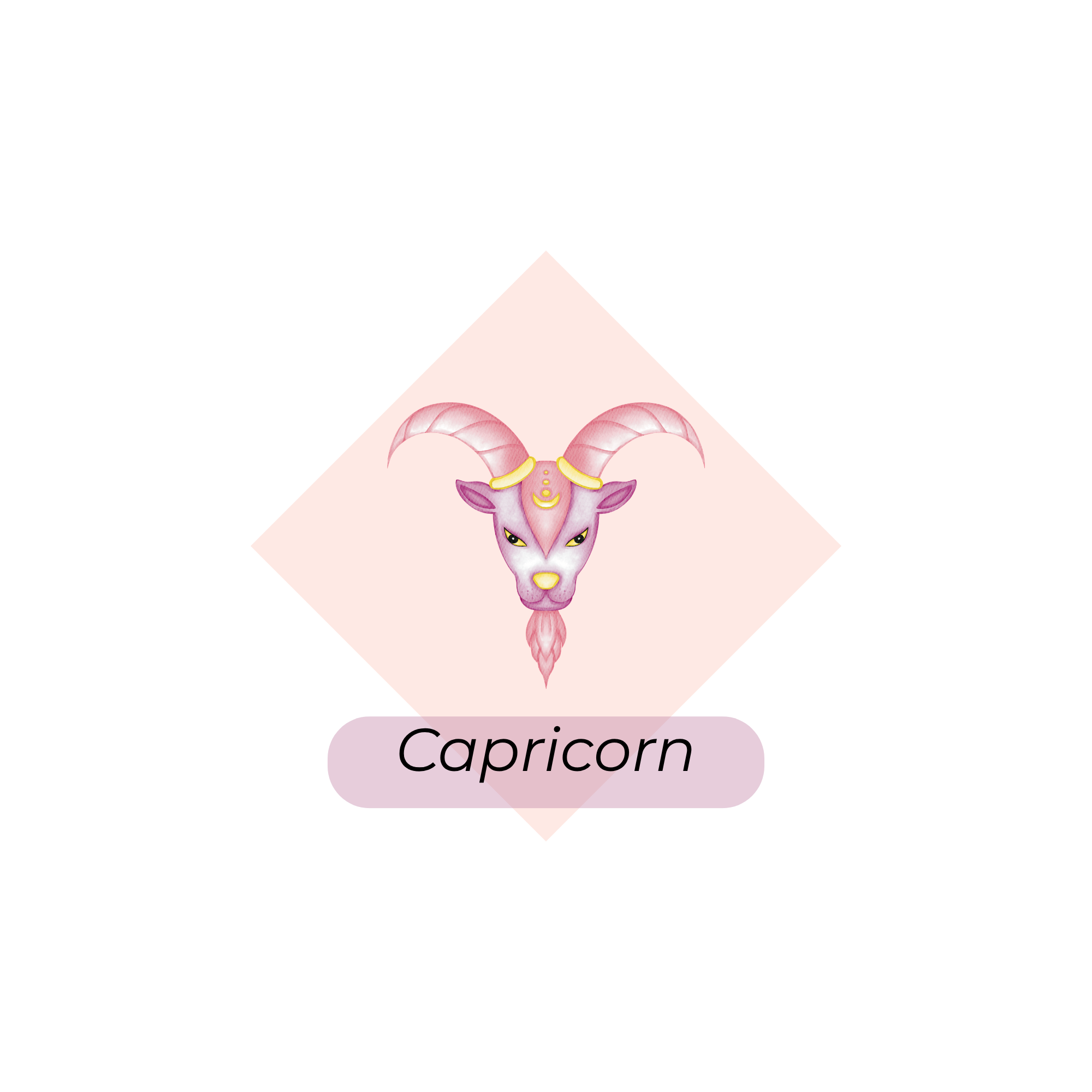 Capricorn zodiac sign illustration